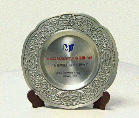 2008年12月獲得南京微創年度的最佳潛力獎。